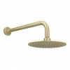 Venice Giro Brushed Brass Shower Head With Wall Mounted Arm - 200mm