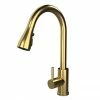 Venice Modern Kitchen Mixer Tap With Swivel Spout & Pull Out Spray - Brushed Brass